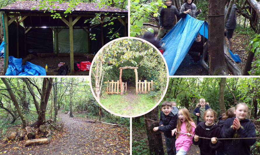 Montage of forest school images